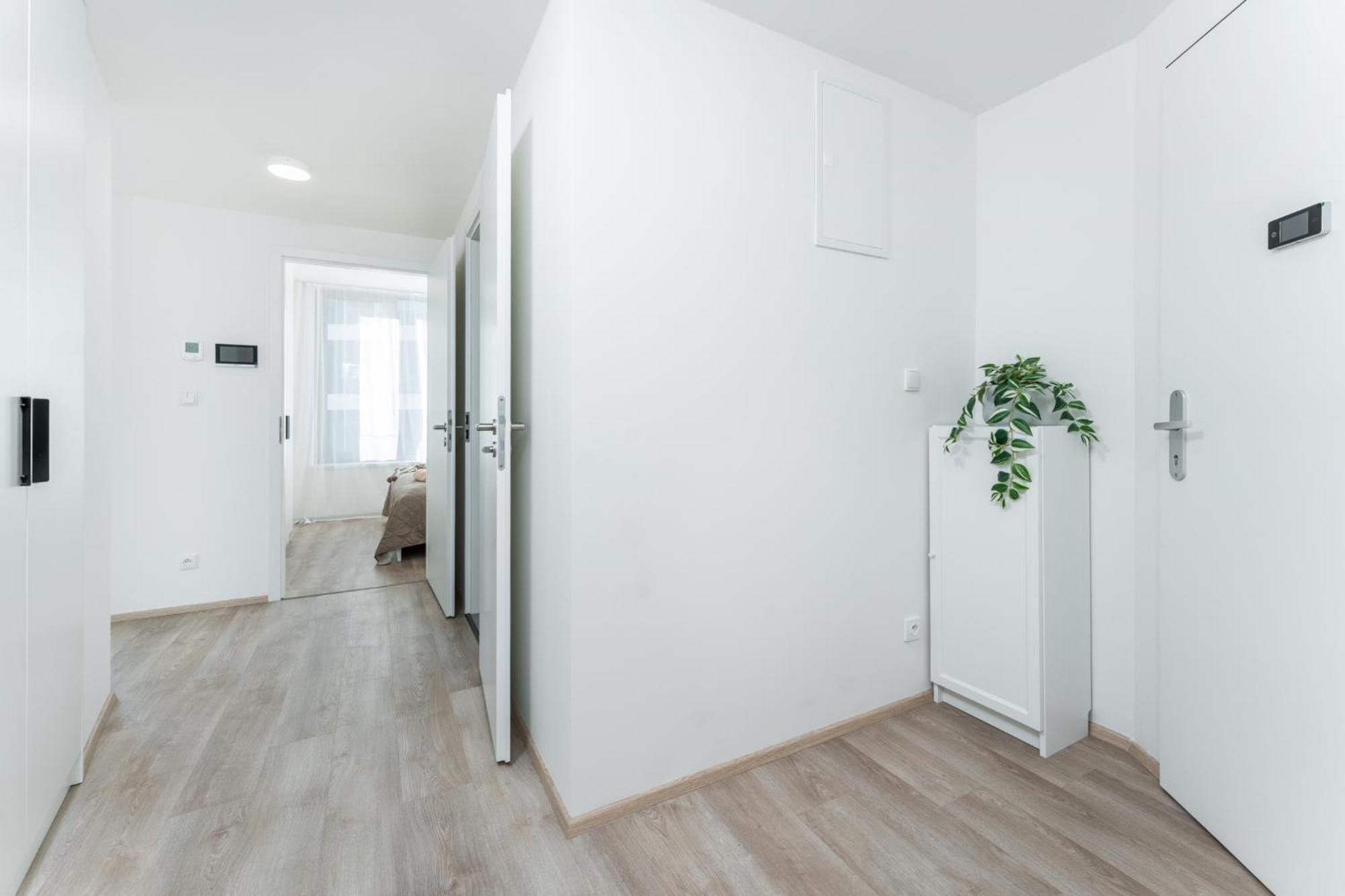 Mymozart Apartments Prague By Rentero Property Kültér fotó
